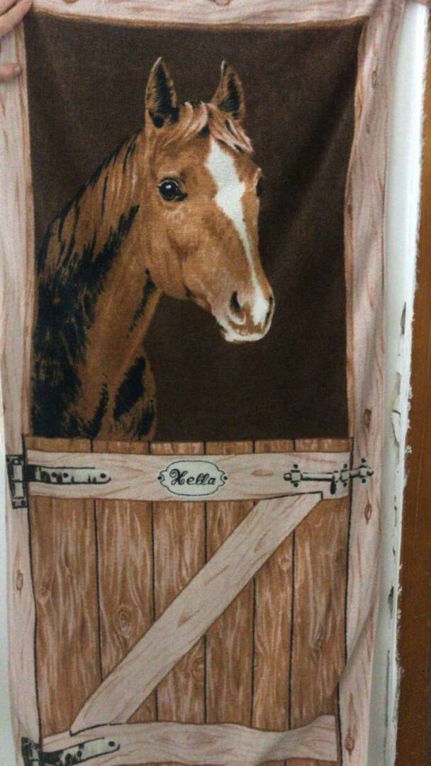 В румынском городе Яссы полиция примчалась на вызов — букву "Z" вывесили в окне университетского кампуса.