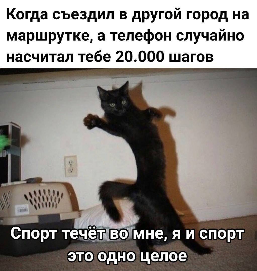 Галерея Юмора разного жанра.