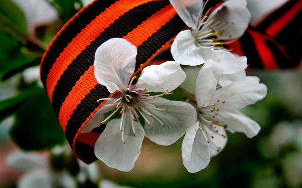 Как отдыхаем в мае 2022: продление майских праздников с 1 по 10 мая включительно, выходные на майские праздники, 10 дней выходных- свежие новости