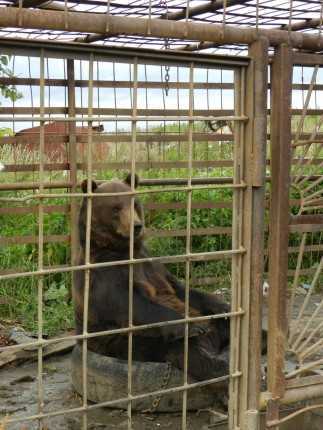 Урал. Дорога из Пензы в Курган