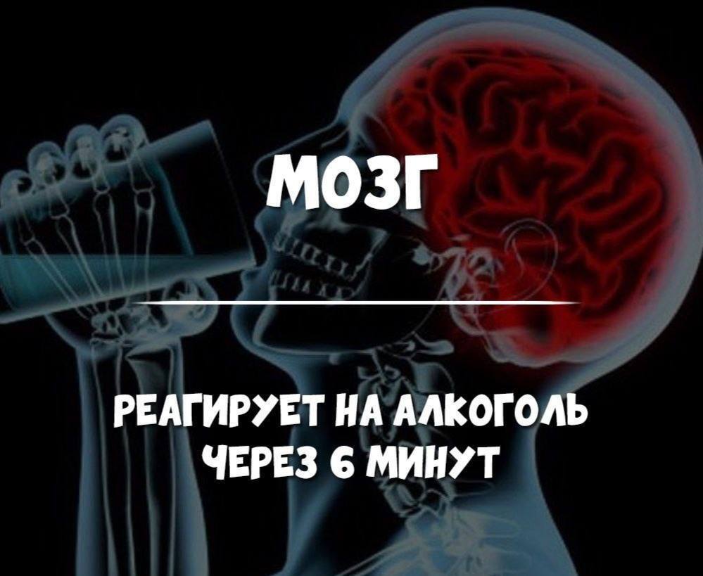 Как это устроено.