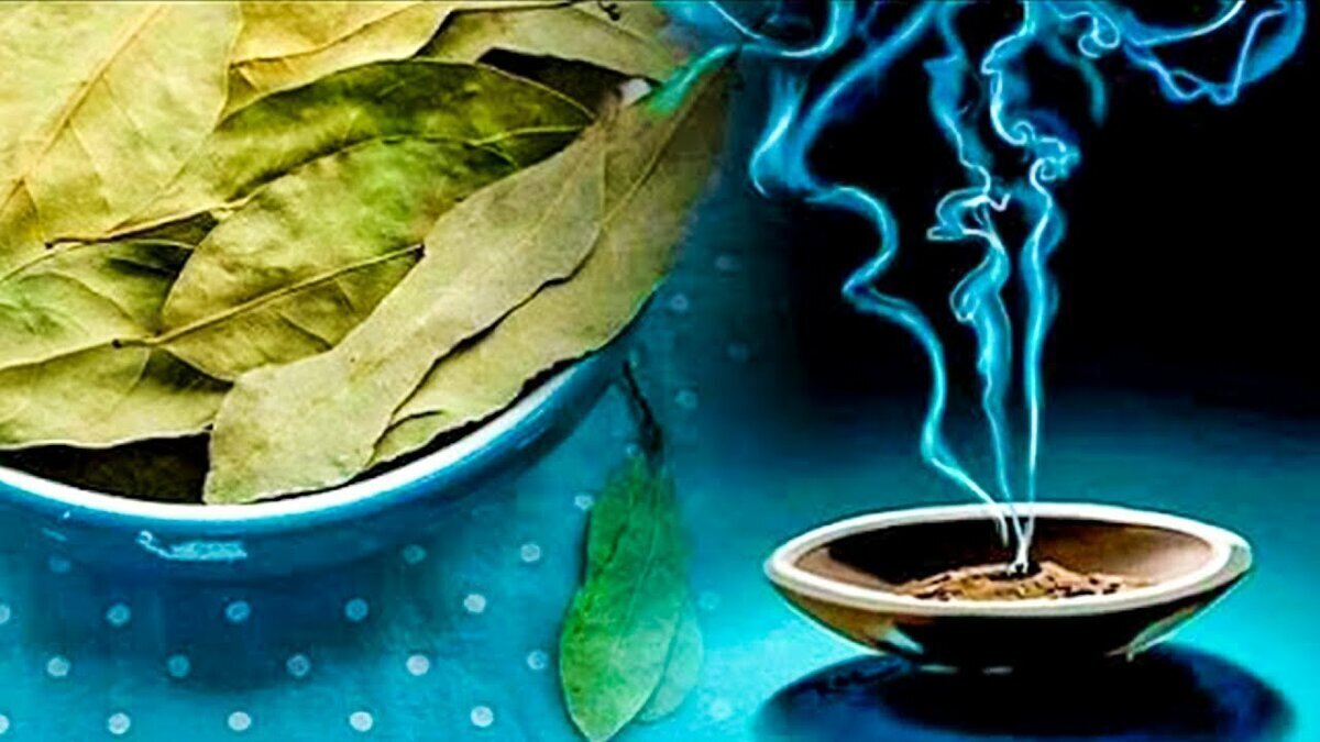 Подожгите лавровый лист и наблюдайте за тем, что будет происходить через 10 минут