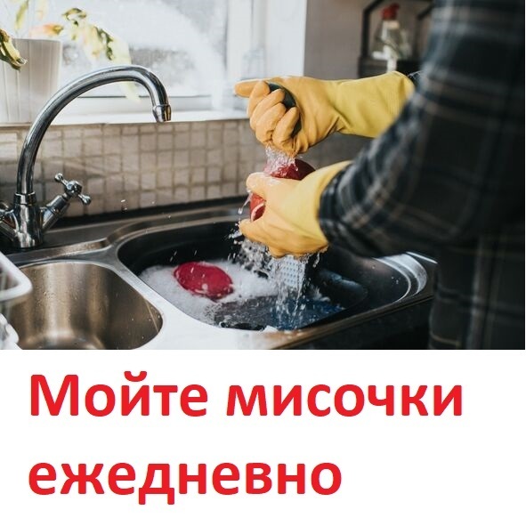 90% собачников и кошатников не знают этих простых правил, которые сохранят здоровье вам и вашему питомцу. Опытные ветеринары делятся советами, от души