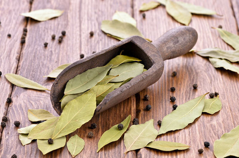 Подожгите лавровый лист и наблюдайте за тем, что будет происходить через 10 минут