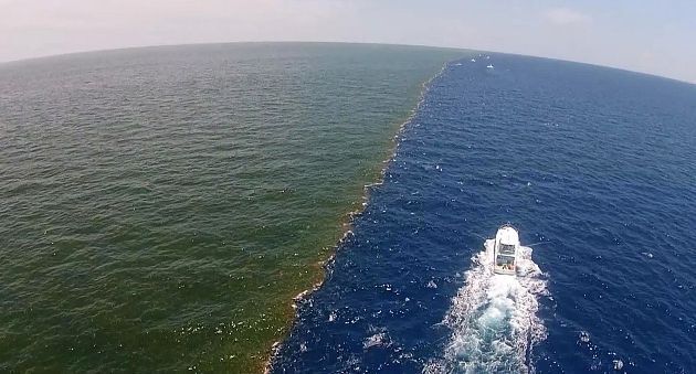 Почему воды Тихого и Атлантического океана не смешиваются