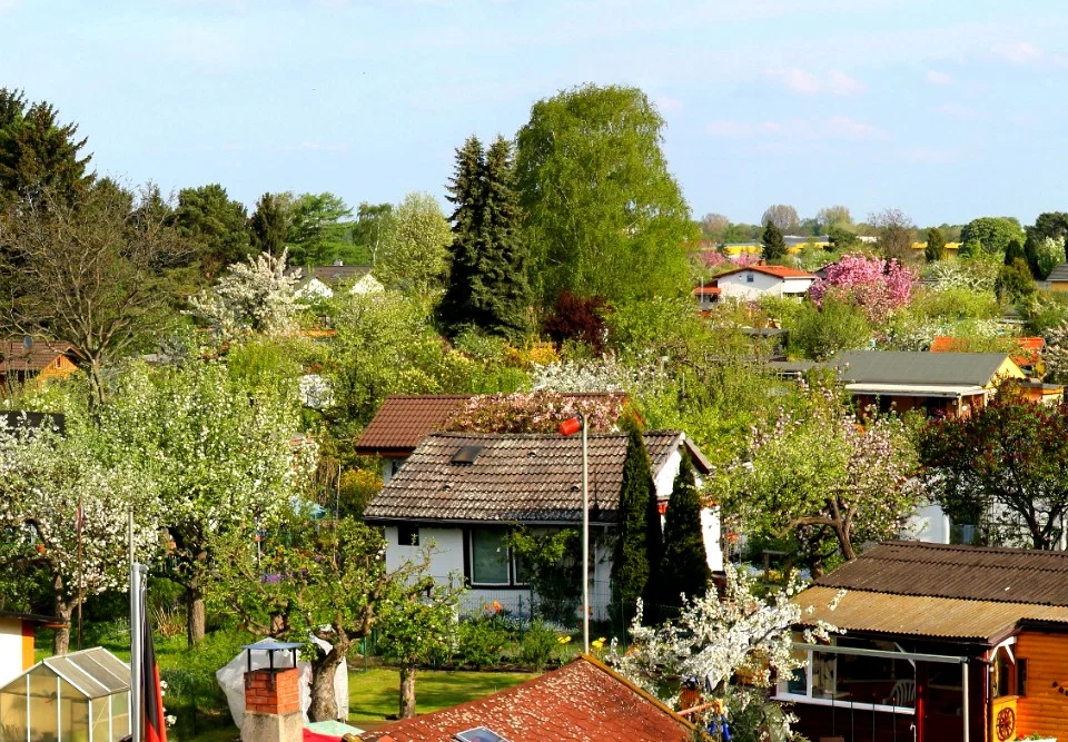 Два новых случая, когда можно получить от государства земельный участок без аукциона