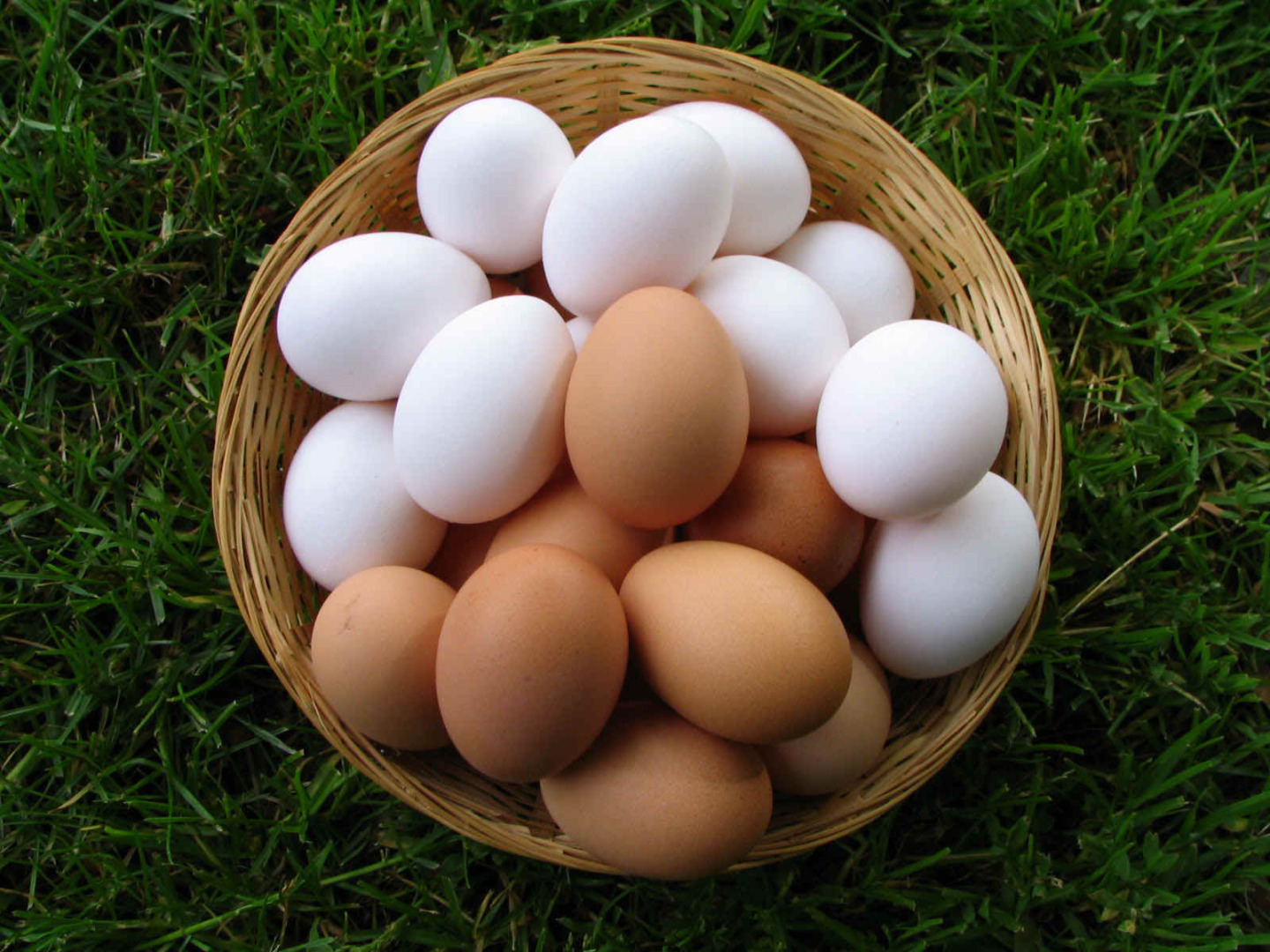 крупные яйца фото