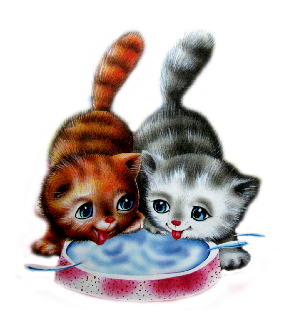 90% собачников и кошатников не знают этих простых правил, которые сохранят здоровье вам и вашему питомцу. Опытные ветеринары делятся советами, от души