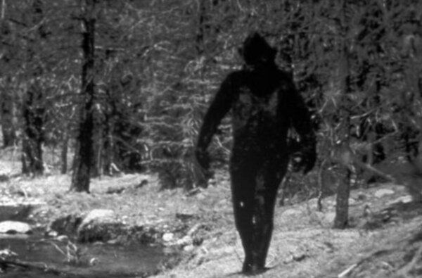 🧩 Факт: человеку доставившему ученым мертвого или живого снежного человека обещают вознаграждение в размере 0 тыс. и https://u2.9111s.ru/uploads/202204/14/a23e66d97f32b9c0e491d996ac31fcf8.jpg млн. соответственно....