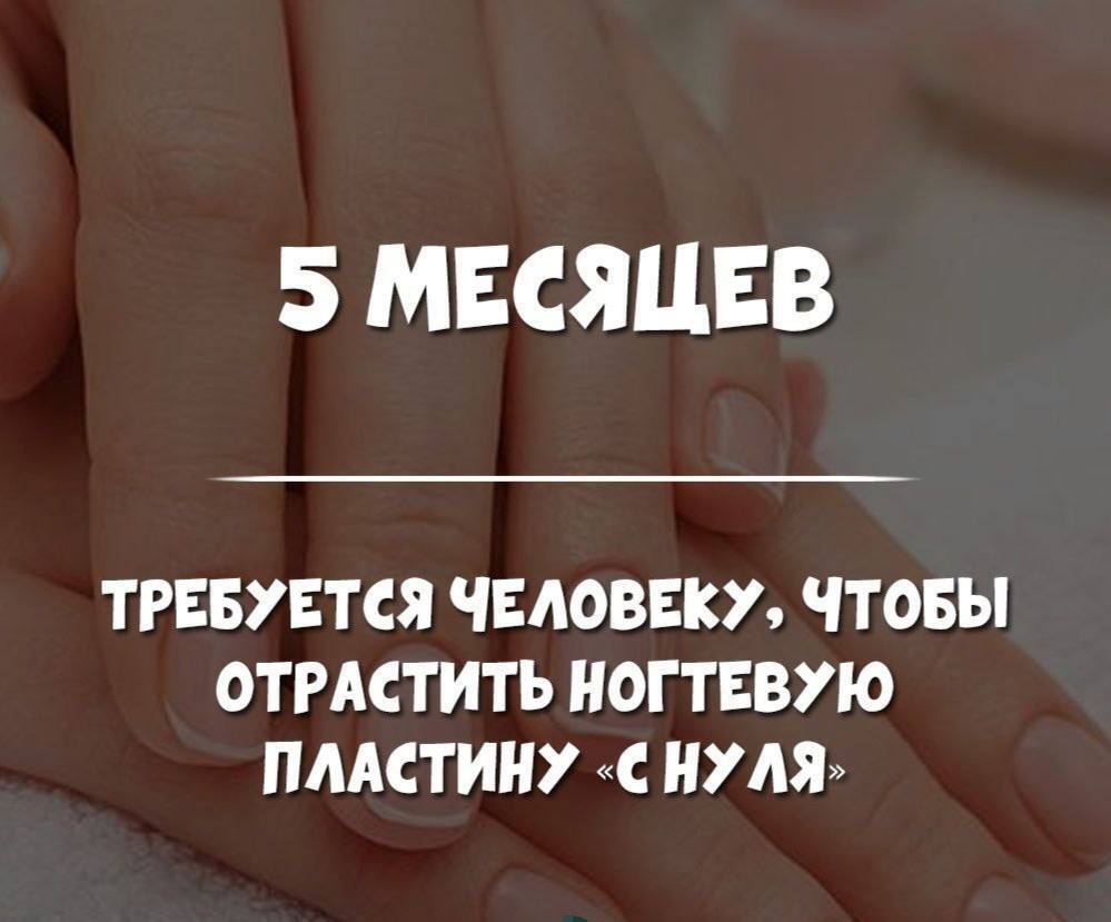 Как это устроено.