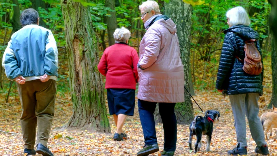 Какое имущество пенсионера приставы сейчас не могут забрать за долги