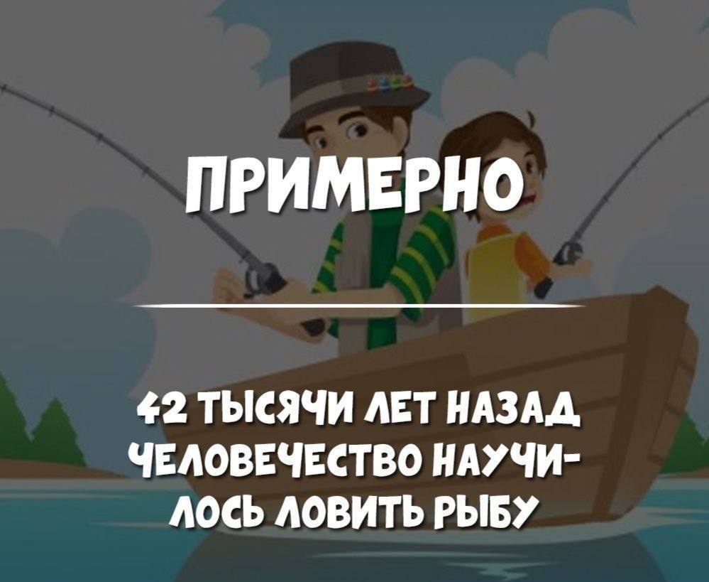 Как это устроено.