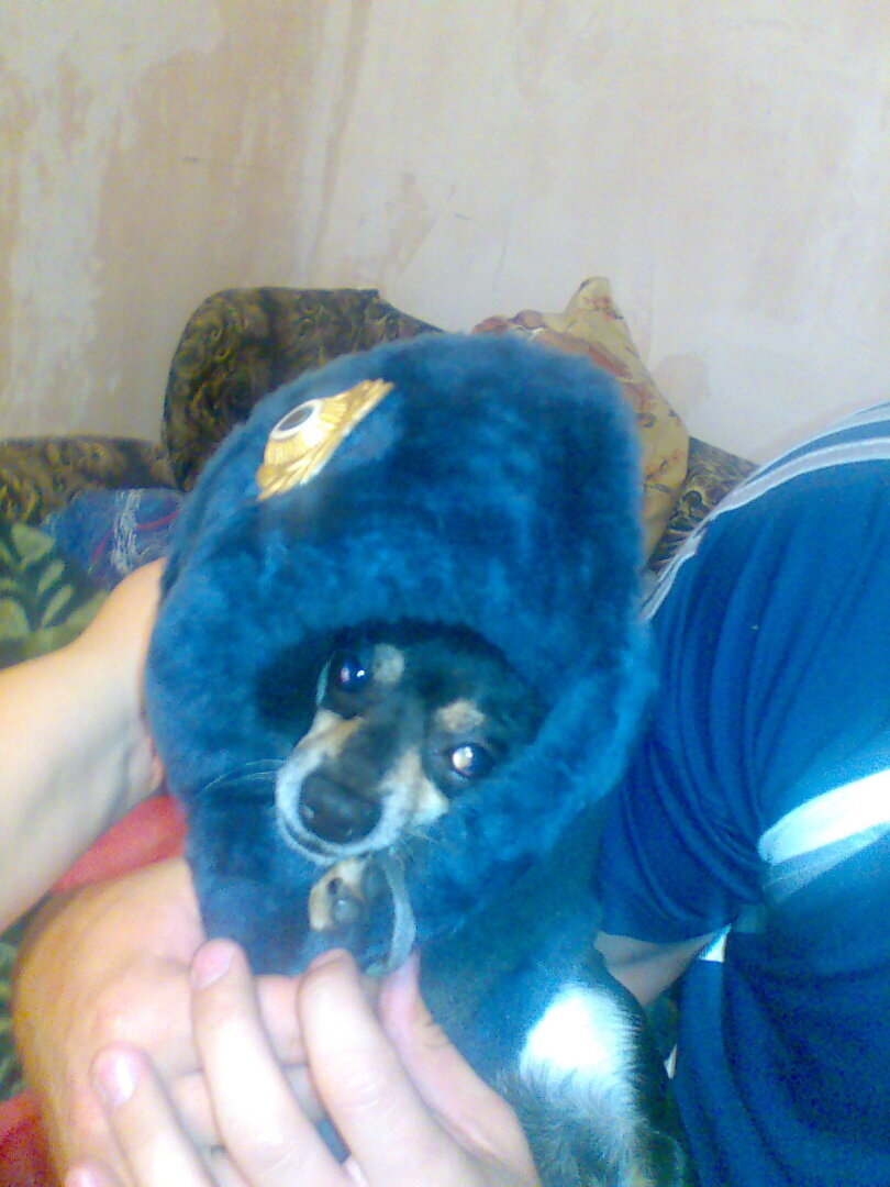 Немец, избивший из ревности своего украинского любовника, может предстать перед судом