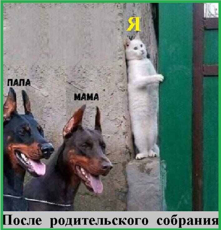 Весёлые картинки (часть 33)