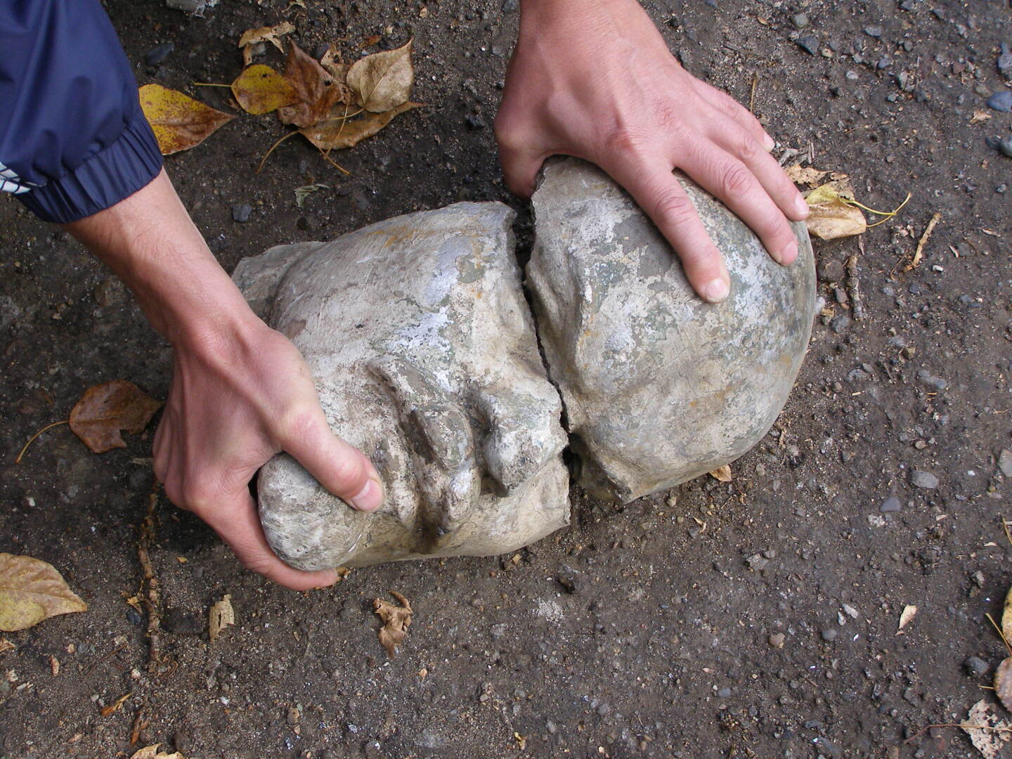 А кого Вы готовы хоронить?