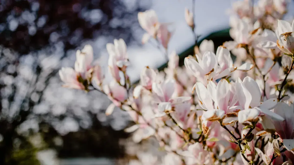 Москвичам пообещали теплые выходные: какая погода в Москве будет на Пасху 23 и 24 апреля. Прогноз погоды на выходные 16-17 апреля