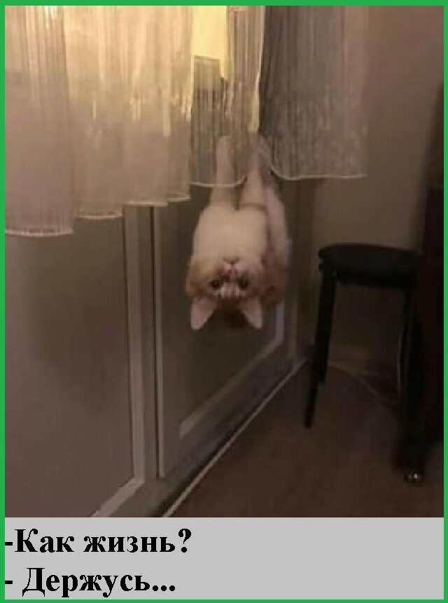 Весёлые картинки (часть 33)