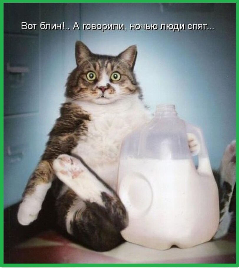 Весёлые картинки (часть 33)