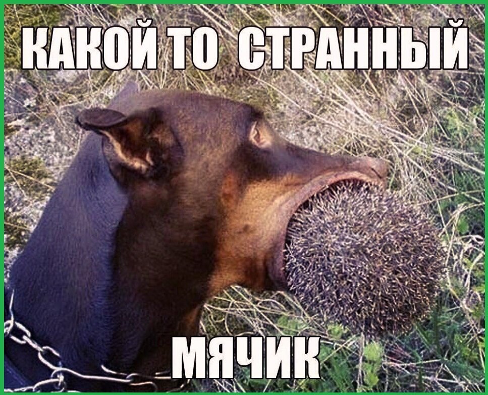 Весёлые картинки (часть 33)