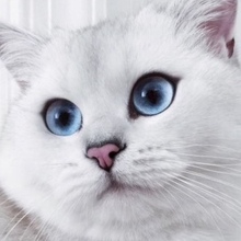 Автор, г. Уфа