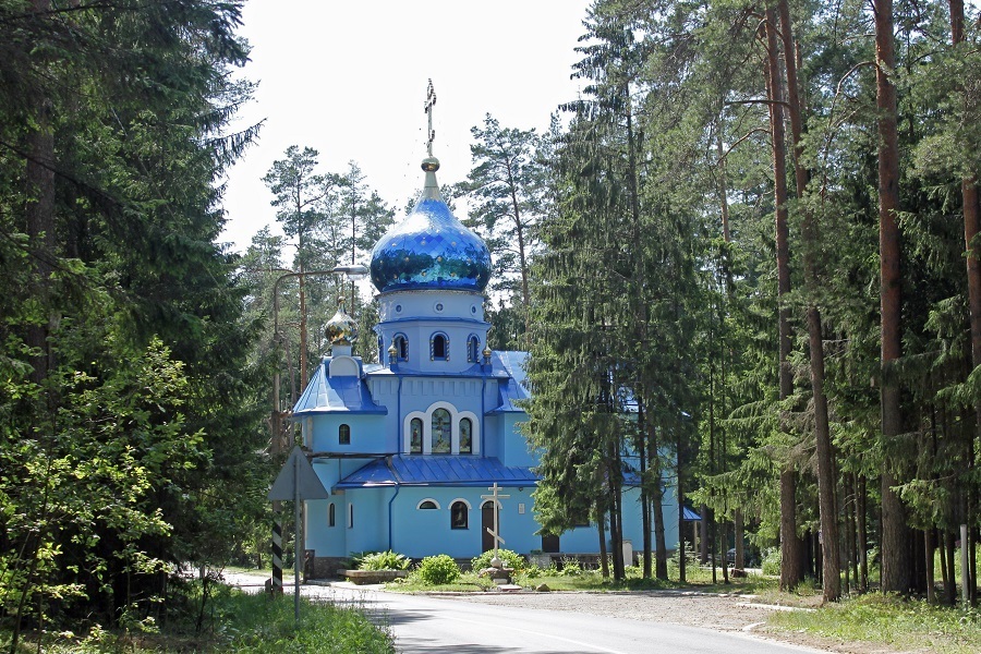 Патриарх Кирилл служит в храме Христа Спасителя в праздник Вербное воскресенье 17 апреля. Расписание праздничных служб в Москве