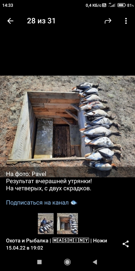 Охота и Рыбалка