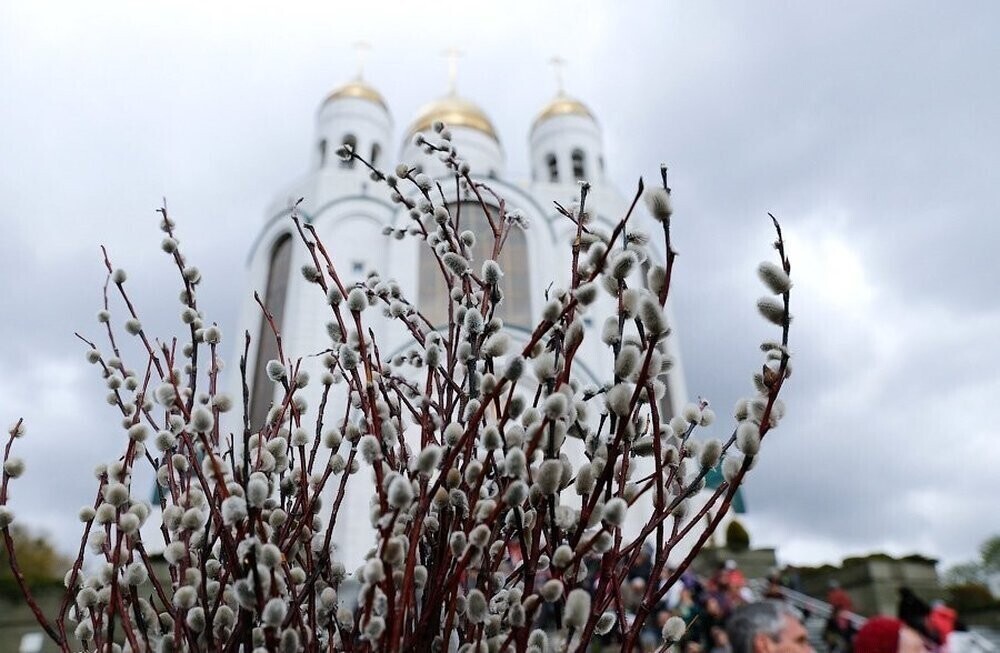 Фото вербное воскресенье картинки