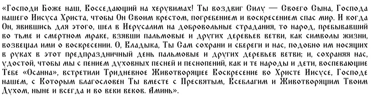 Все самые главные молитвы на Вербное воскресенье: для чтения дома при освящении вербы и для праздничной службы в храме