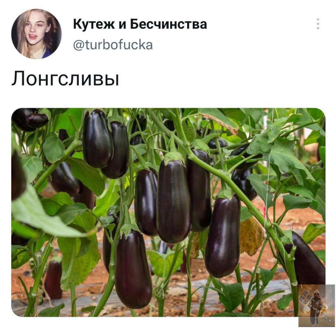 Прикольные картинки!