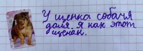 Познакомьтесь с подборкой фотографий смешных фраз из детских дневников