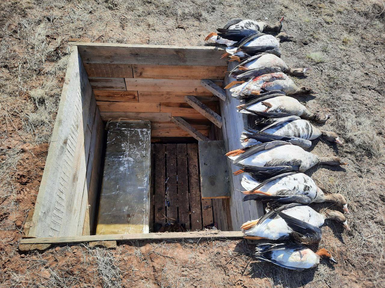 Охота и Рыбалка