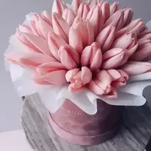 Анастасия, г. Копейск