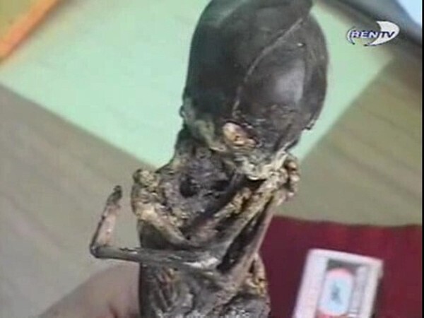 Таинственный гроб нашли под руинами Собора Парижской Богоматери. Неужели учёные станут вскрывать?! А ведь Ванга предупреждала... 