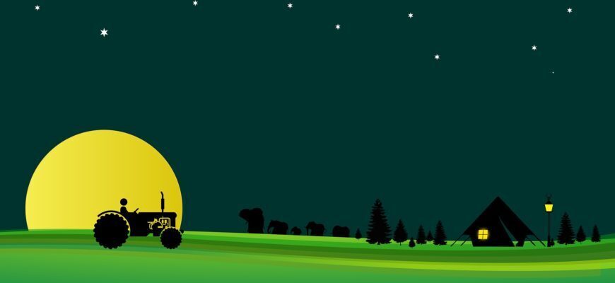 Доплата к пенсии сельским жителям в 2022 году: кому положена, как оформить? Сельская доплата в 2022 году, подробная информация.