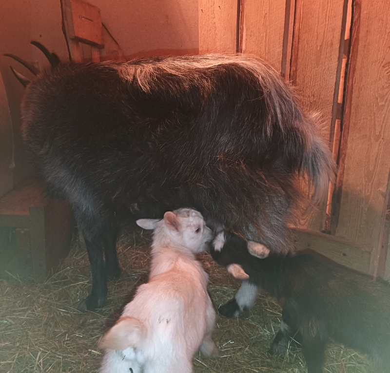 Две чистые души появились на свет...