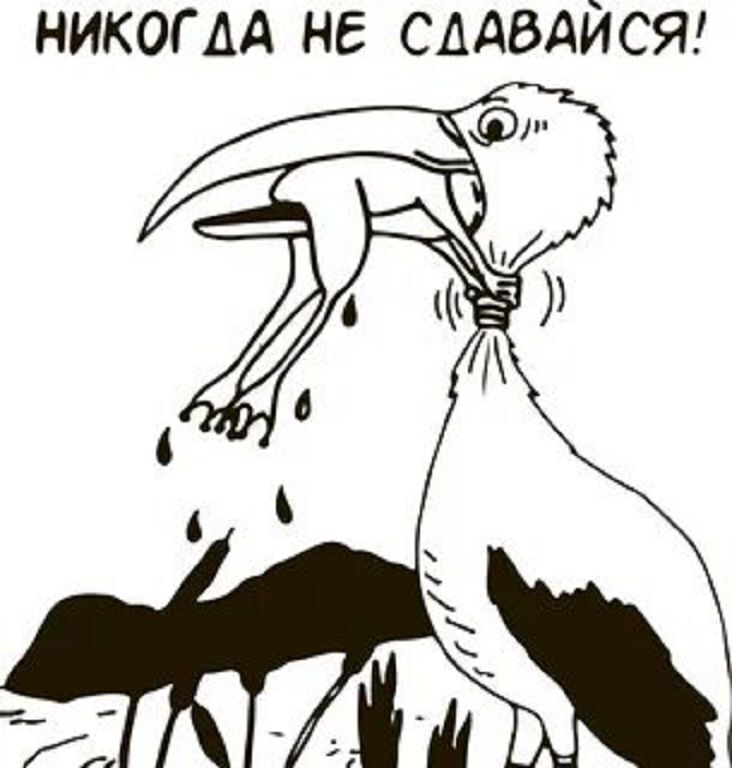 Никогда не сдаваться