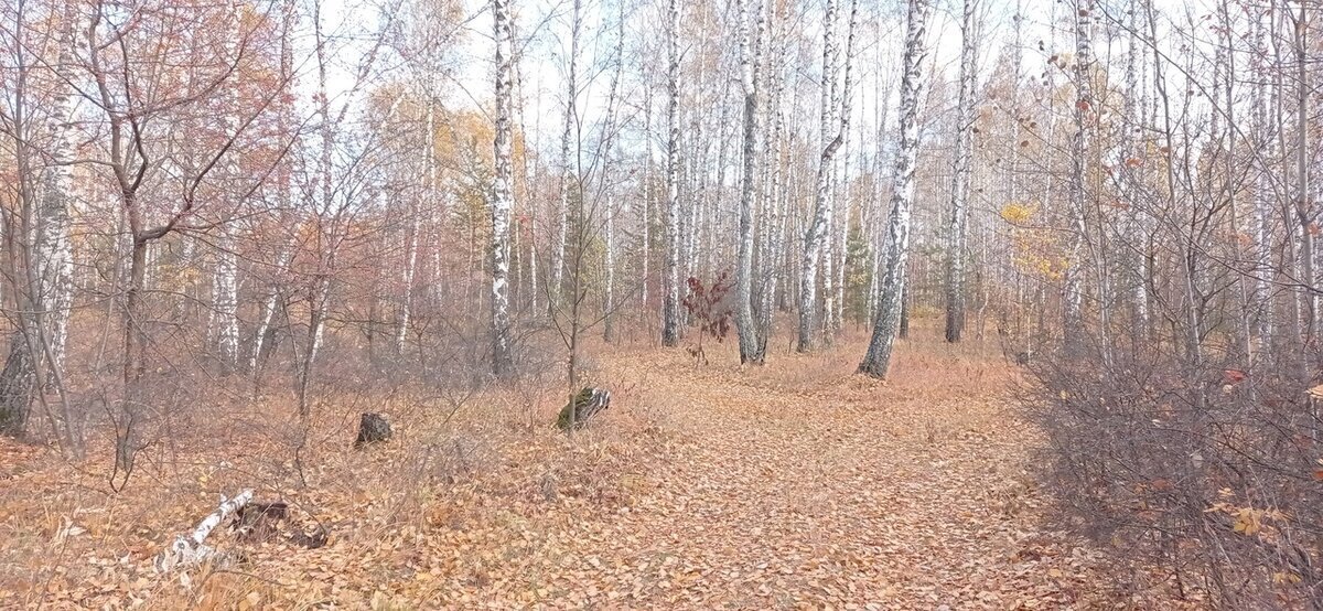 Лайтовая покатушка