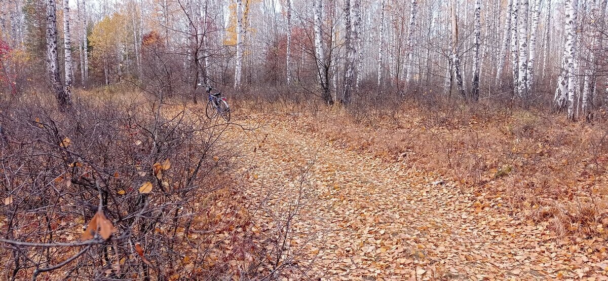 Лайтовая покатушка