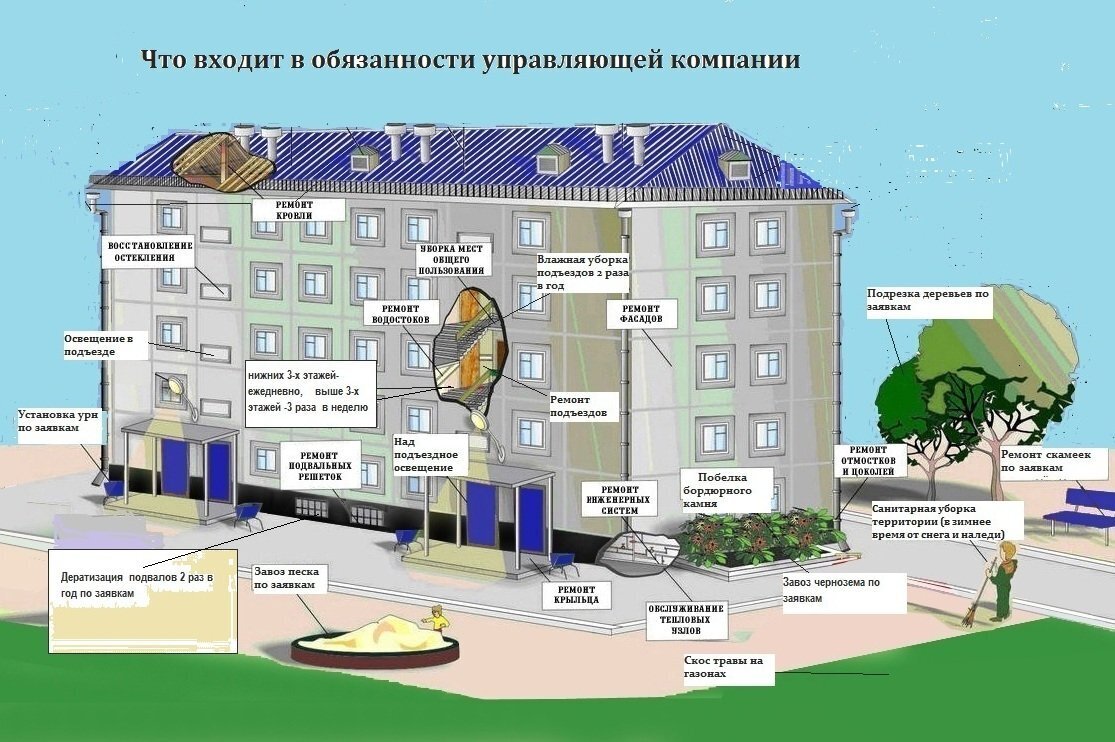 Имущество управляющей компании. Общее имущество МКД. Обязанности управляющей компании многоквартирных домов. Общее имущество в многоквартирном доме. Управляющей компанией в многоквартирном доме.