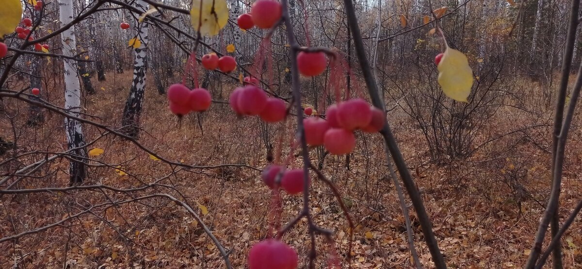 Лайтовая покатушка