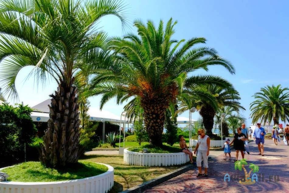 Отдых на майские 2022: выходные на майские праздники, где отдохнуть на майские праздники, основные туристические направления 2022