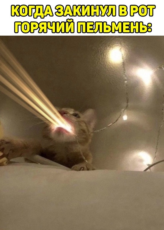 Всякие картиночки