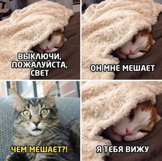 Всякие картиночки