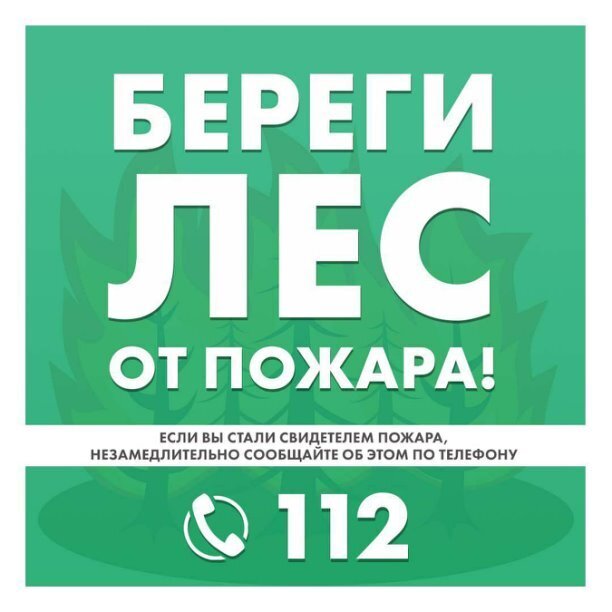 🔥 Из-за теплой и сухой погоды в Приморье стало больше лесных пожаров. ⠀ 🚒 Пожарные справляются с тушениями - но наша внимательность и бдительность 