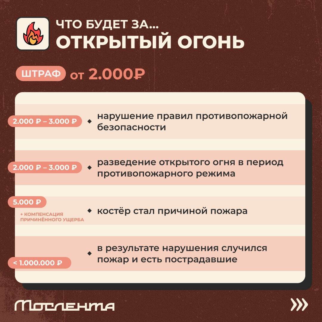 Дачный сезон не за горами, а это значит, что в скором времени все ударятся в шашлыки, пикники и грядки