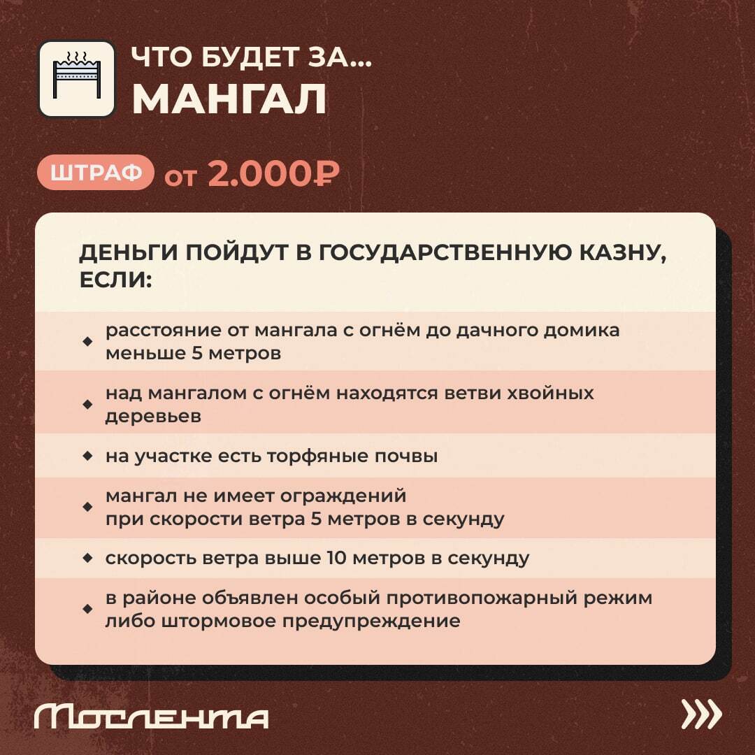 Дачный сезон не за горами, а это значит, что в скором времени все ударятся в шашлыки, пикники и грядки