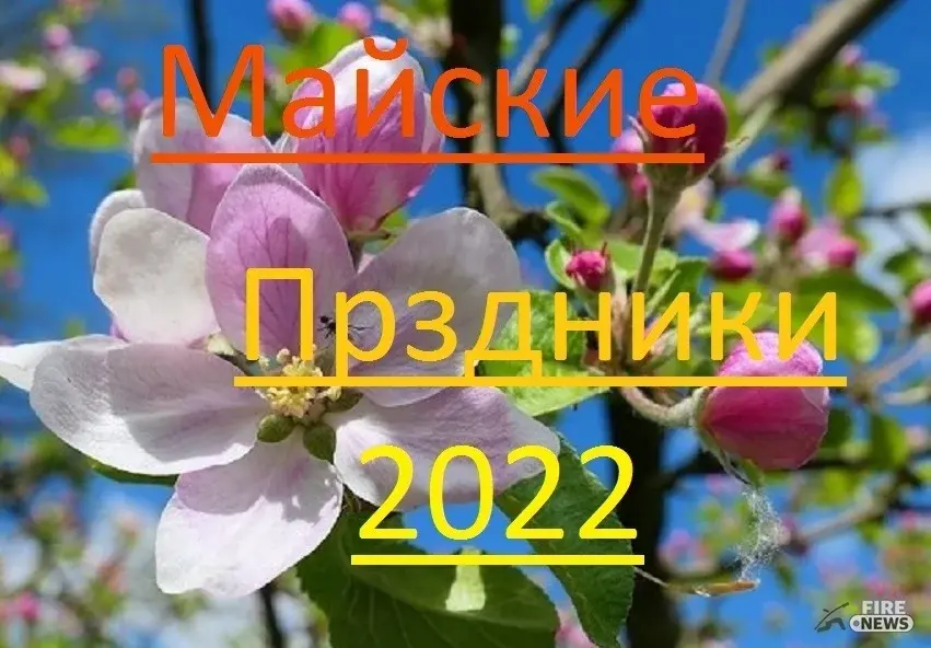 Майские праздники в мае 2022 продлены: как отдыхаем в мае 2022? Сколько официальных дней отдыхаем на майские праздники? сколько будит выходные дней 