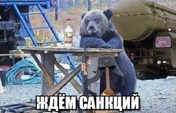 Весёлые картинки про санкции 