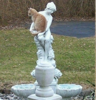 Уж эти мне забавные кошки.