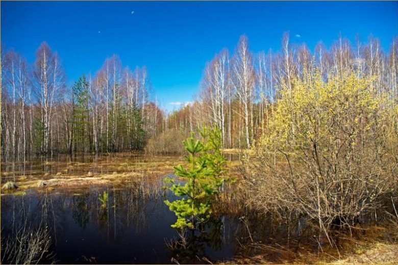 Картинки антип водогон